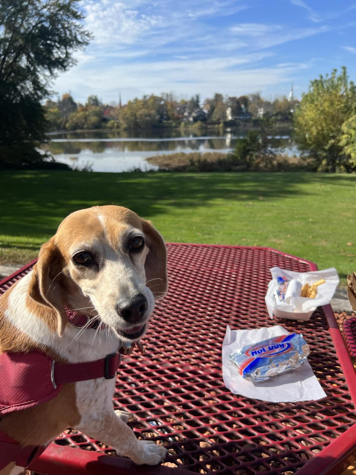 May's Drive In restaurant view 1