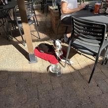 Street Side Ale House restaurant view 1