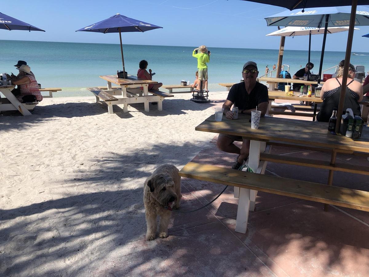 Paradise Grille restaurant view 1