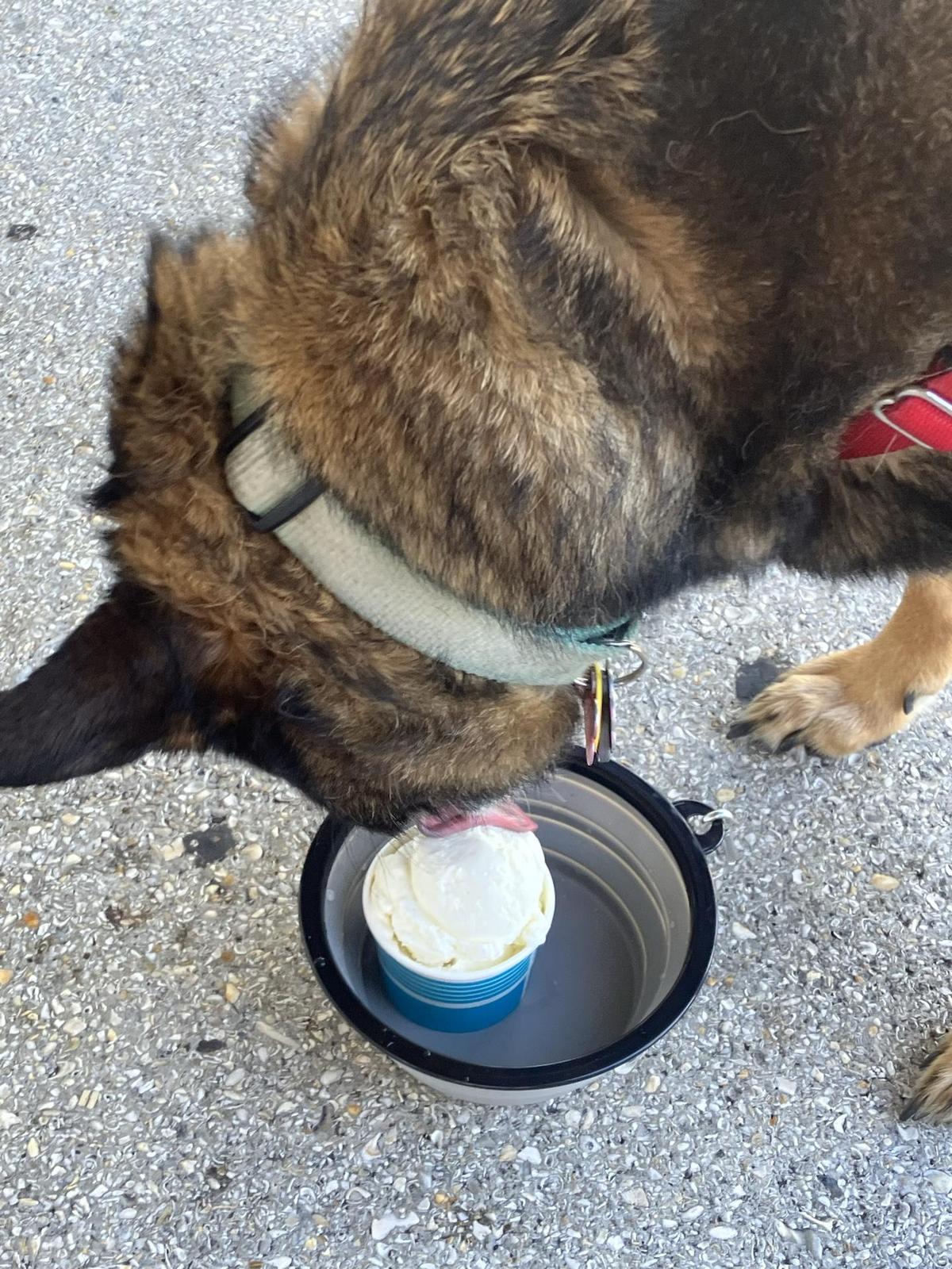 Image of Castillo Ice Cream