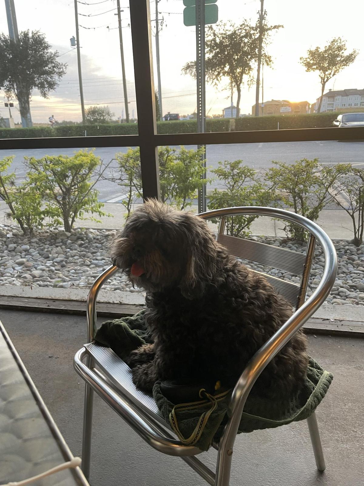 Hurricane Wings & Grill restaurant view 3