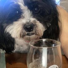 Artillery Brewing restaurant view 1