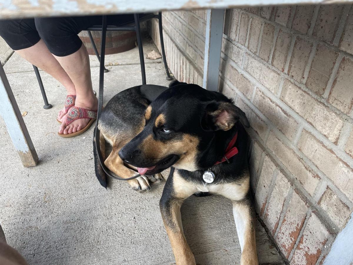 MashCraft Fishers restaurant view 1