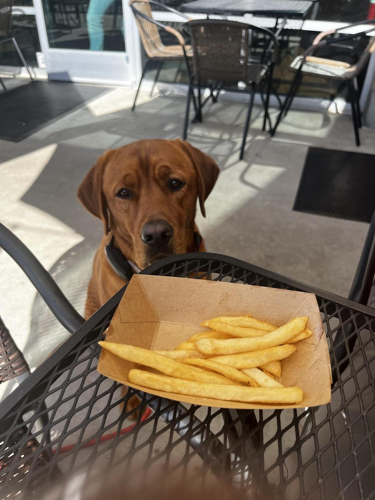 Crafty Burger N' Tap restaurant view 1