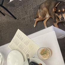 INDO Restaurant & Lounge restaurant view 1