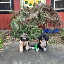 Farmstand Market & Cafe restaurant view 1