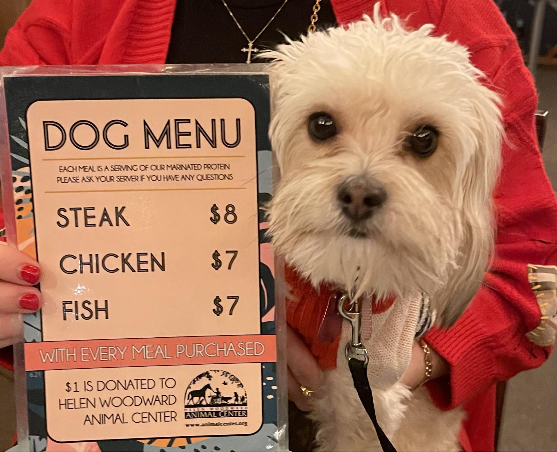 Pet Friendly Tamarindo Del Mar
