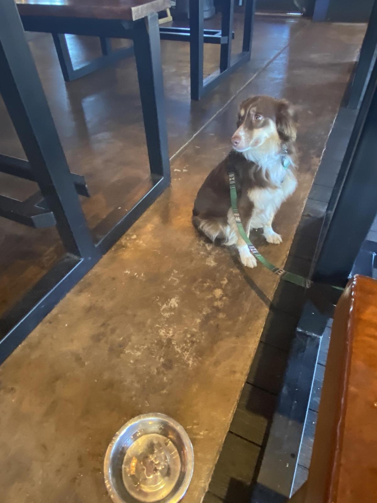 BoomerJack’s Grill & Bar - North Arlington restaurant view 1