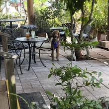 Faded Bistro & Beer Garden restaurant view 3