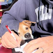 Restaurant Gastrognome restaurant view 2