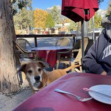 Restaurant Gastrognome restaurant view 1