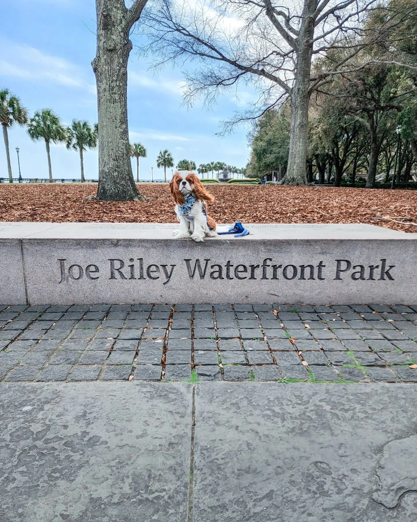 Pet Friendly Charleston Waterfront Park
