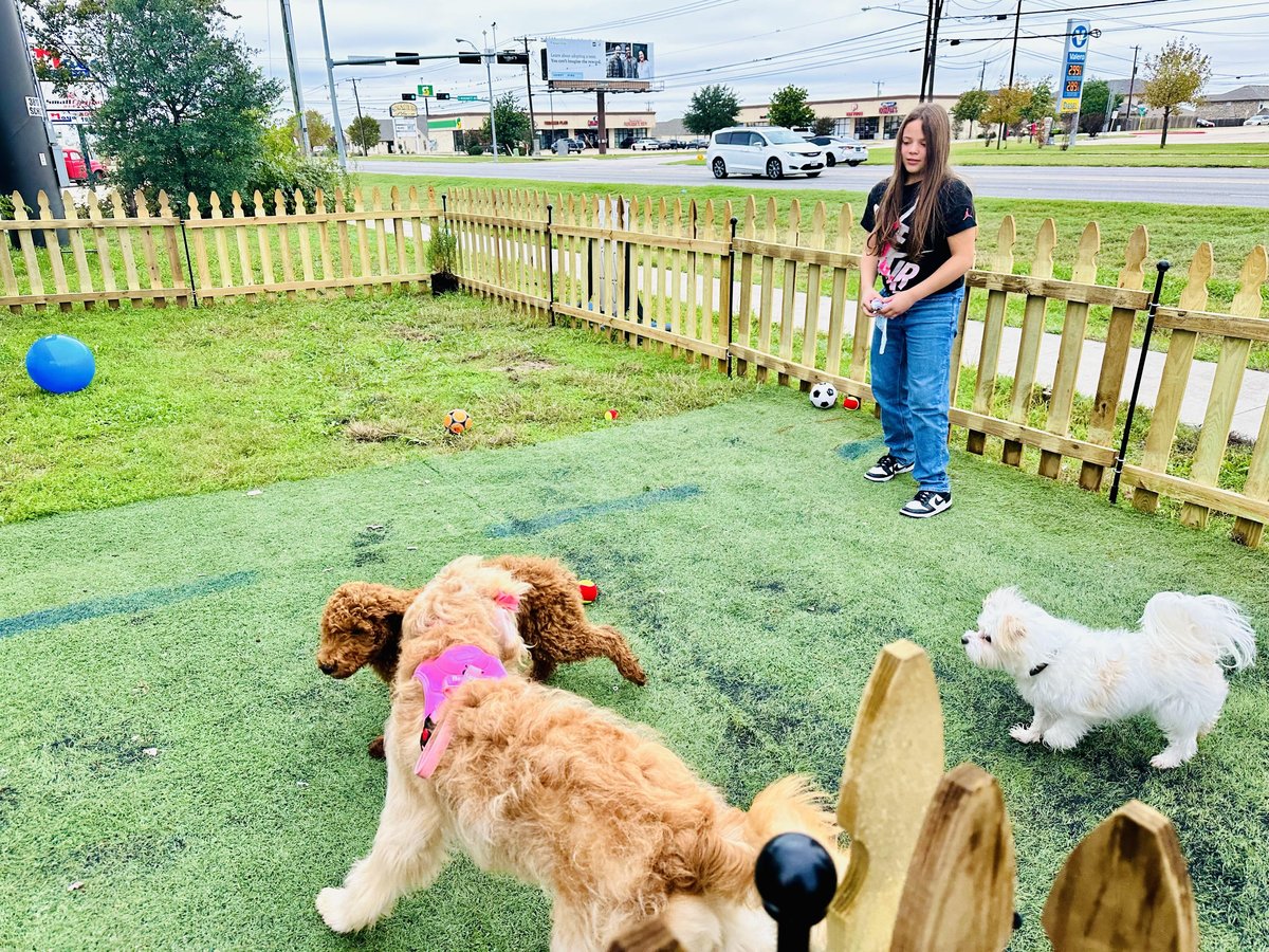 Coqui Cafe Dog Park