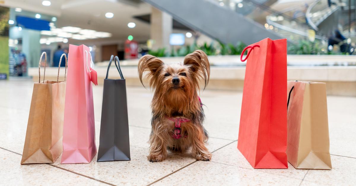 Dog-Friendly Shopping Malls