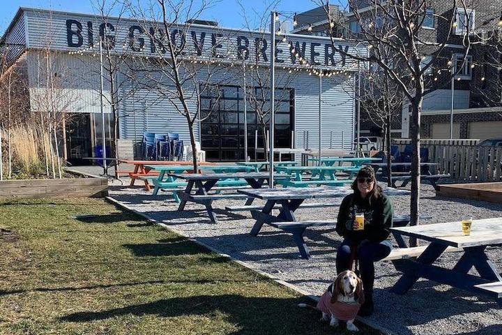 Pet Friendly Big Grove Brewery & Taproom