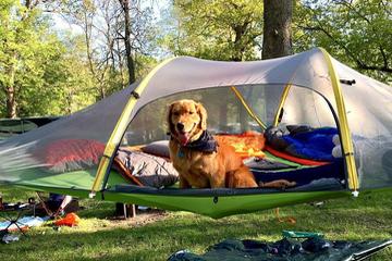 Dog friendly campground deals