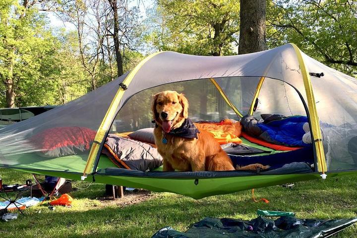 Pet Friendly Timberline Campground