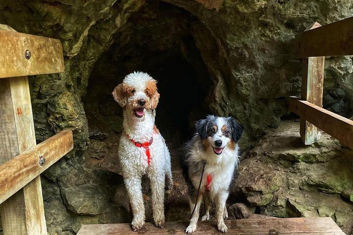 Pet Friendly Maquoketa Caves State Park