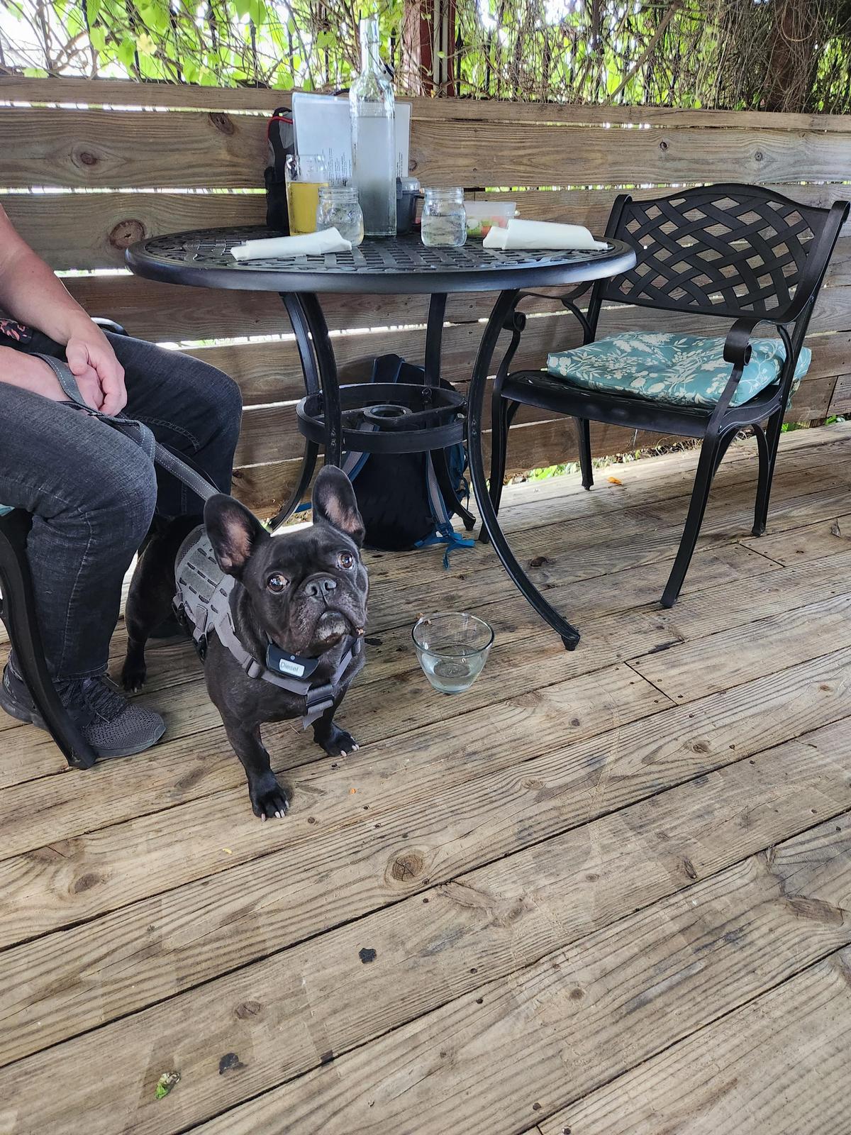 Faded Bistro & Beer Garden restaurant view 2