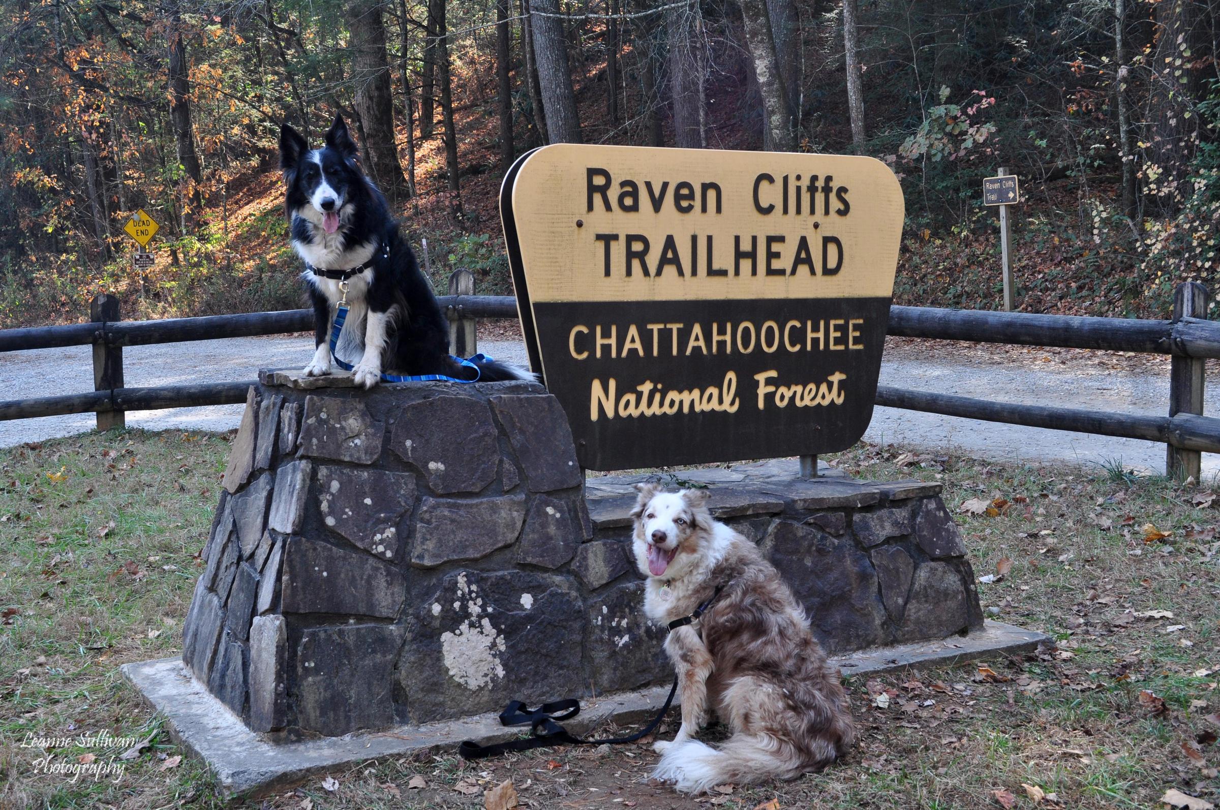 Pet Friendly Raven Cliffs Trail
