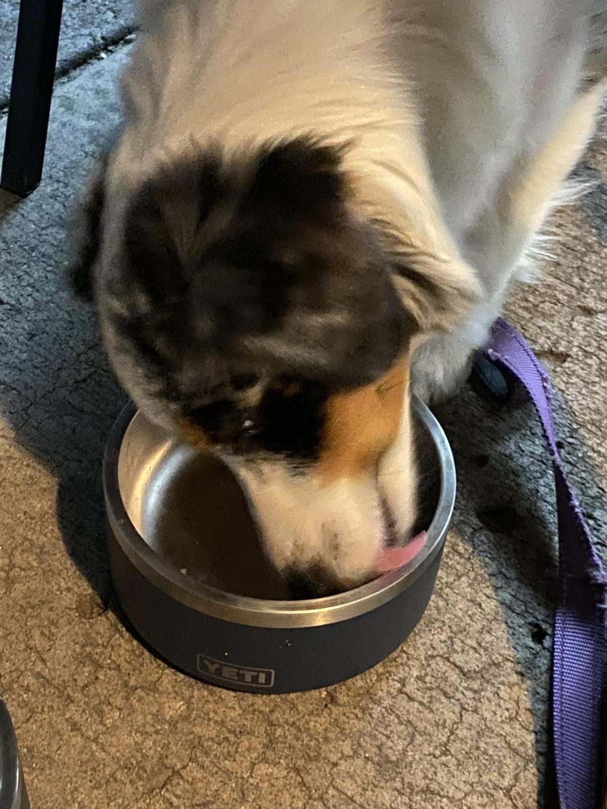 The Barn restaurant view 3