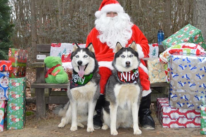 December’s Best Dog-Friendly Events