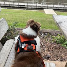 Big Pines Lodge restaurant view 2