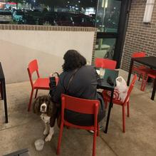 Little Donkey restaurant view 1