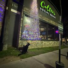 Colton's Social House restaurant view 1