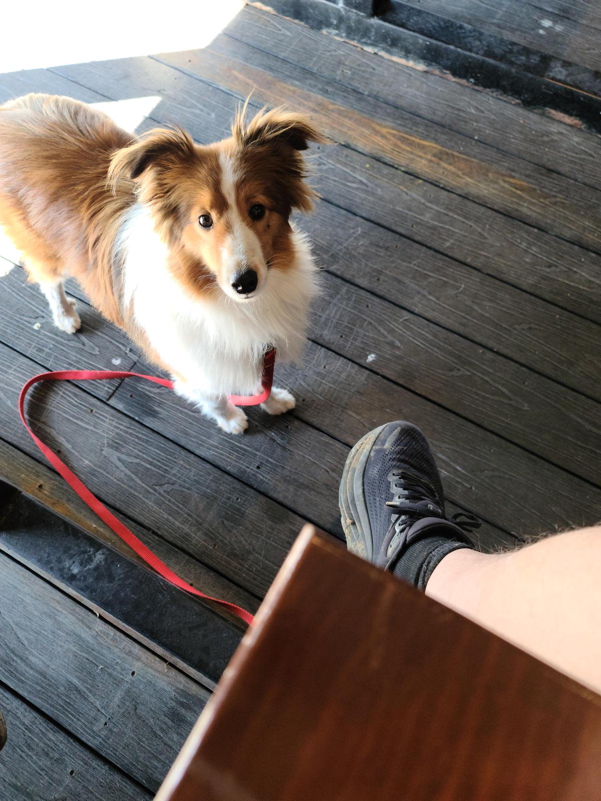 BoomerJack's Grill & Bar Lake Worth restaurant view 3