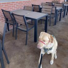 Buffalo Wild Wings Tracy restaurant view 1