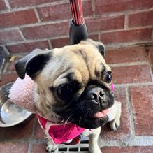 Whiskey 'N Rye restaurant view 2