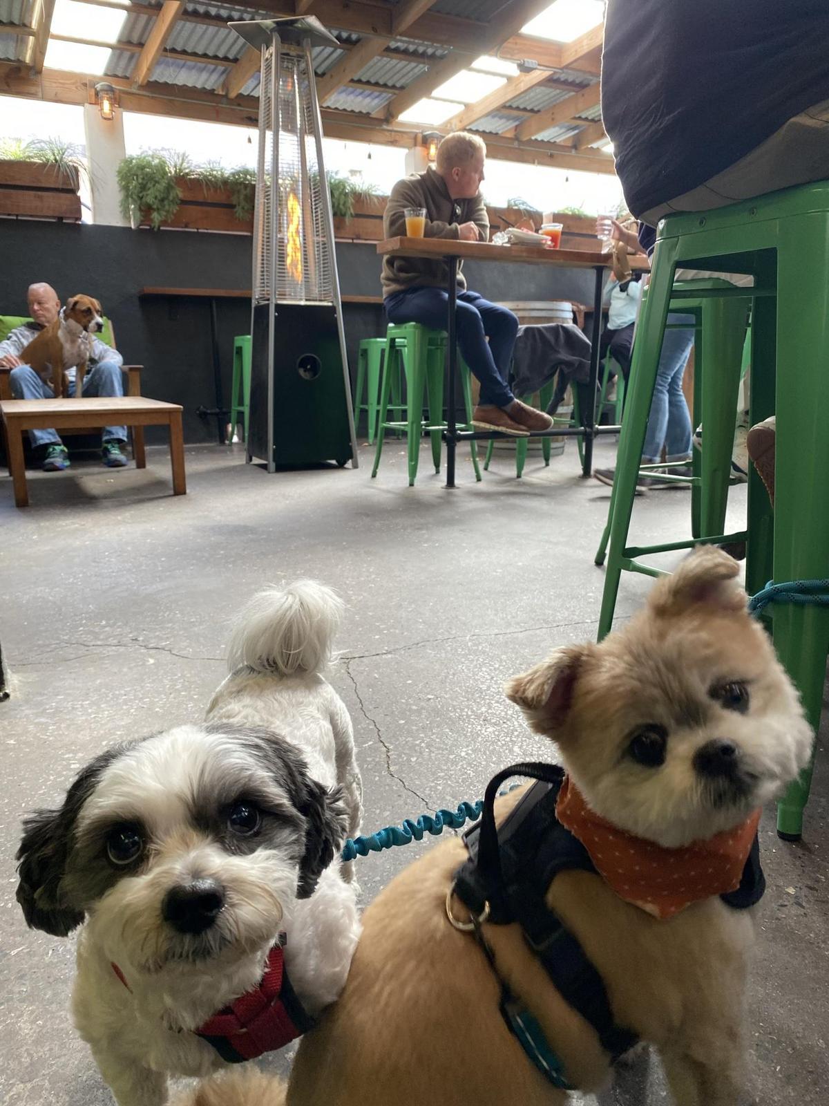 Chucktown Brewery restaurant view 1