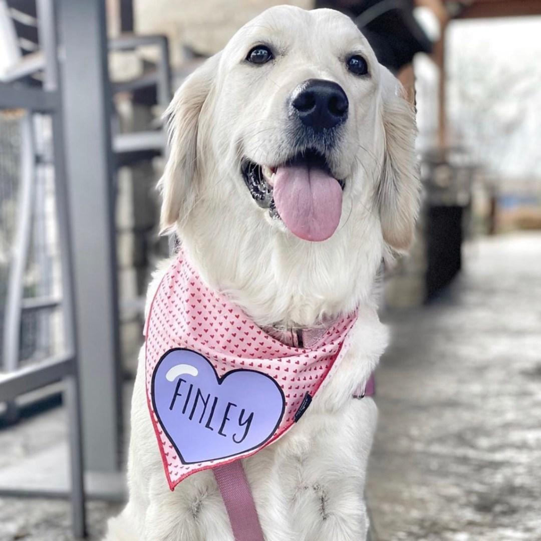 BoomerJack's Grill & Bar Lake Worth restaurant view 2