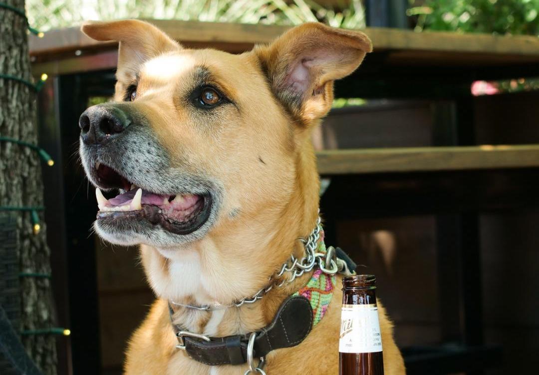 BoomerJack's Grill & Bar Lake Worth restaurant view 1