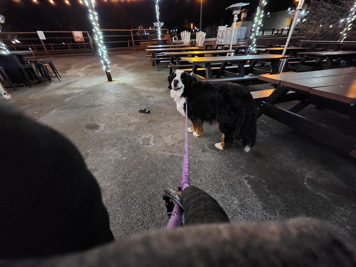 The Golden Mill restaurant view 1