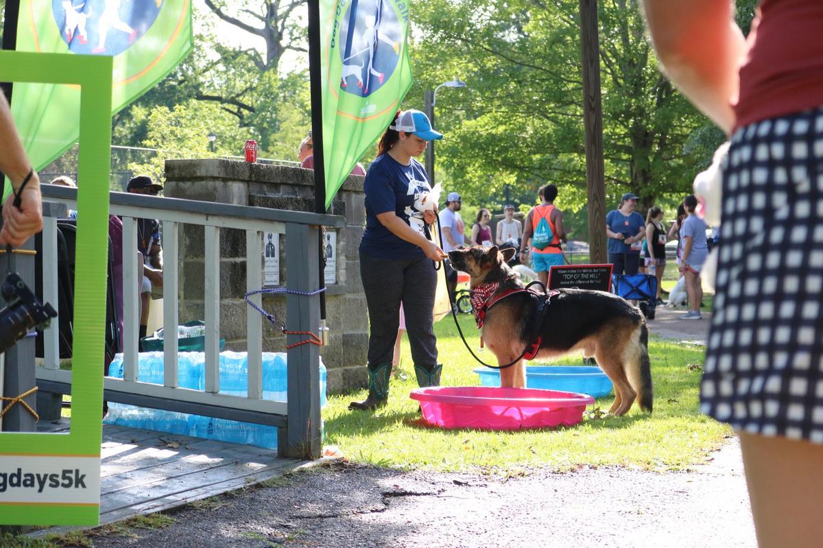 Pet Friendly Dog Days 5K