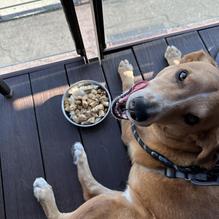 Killer Shrimp restaurant view 3