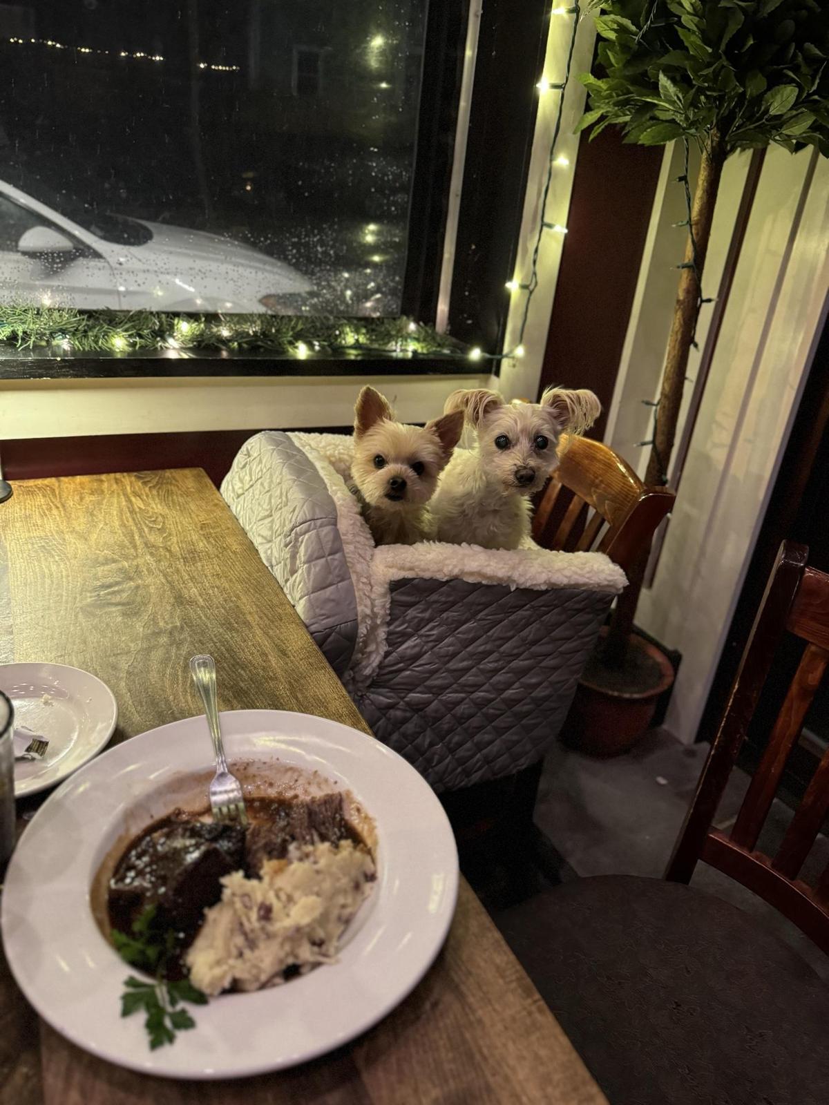 Sardella's Italian Restaurant restaurant view 1