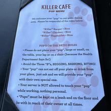 Killer Shrimp restaurant view 2