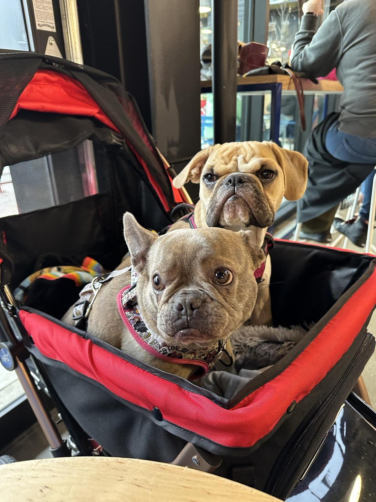 Hi-Wire Brewing Cincinnati restaurant view 1