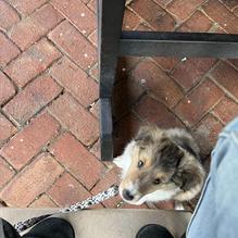 The Sterling Tavern restaurant view 1