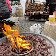 Field House Brewing Co. restaurant view 1