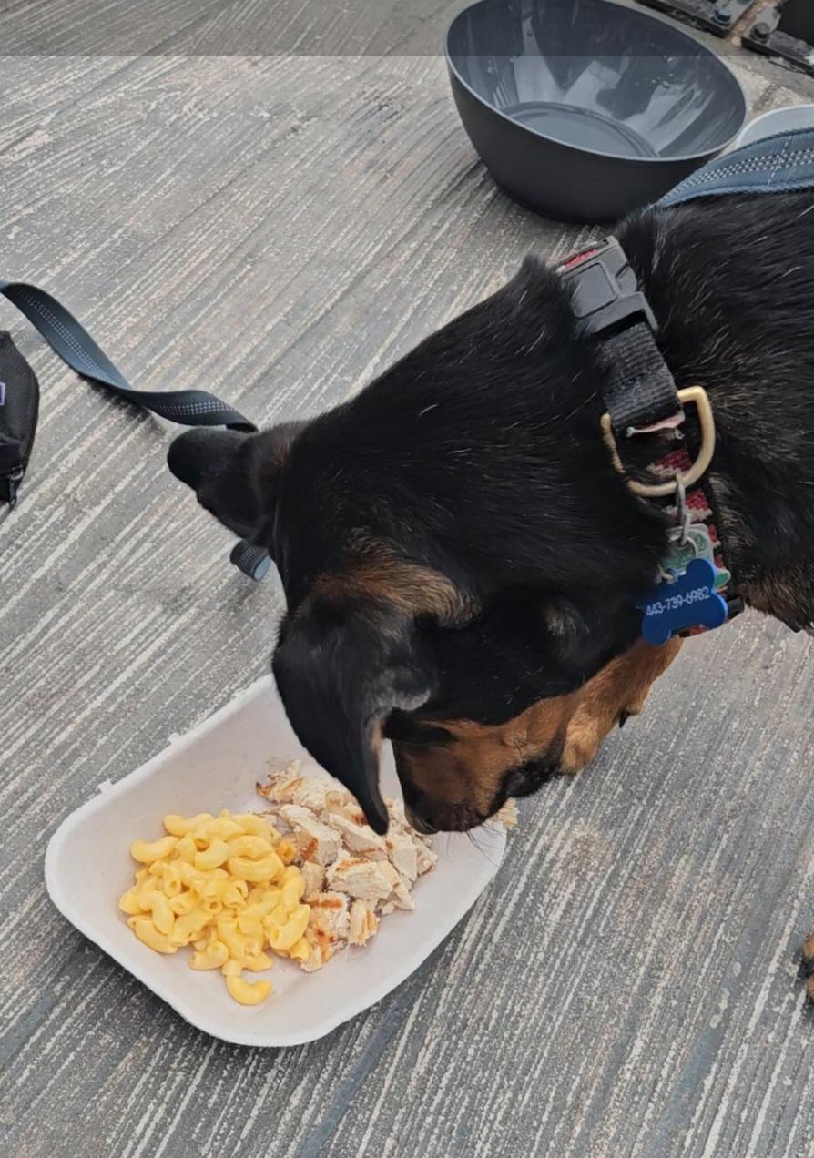 Village Brewhouse restaurant view 2