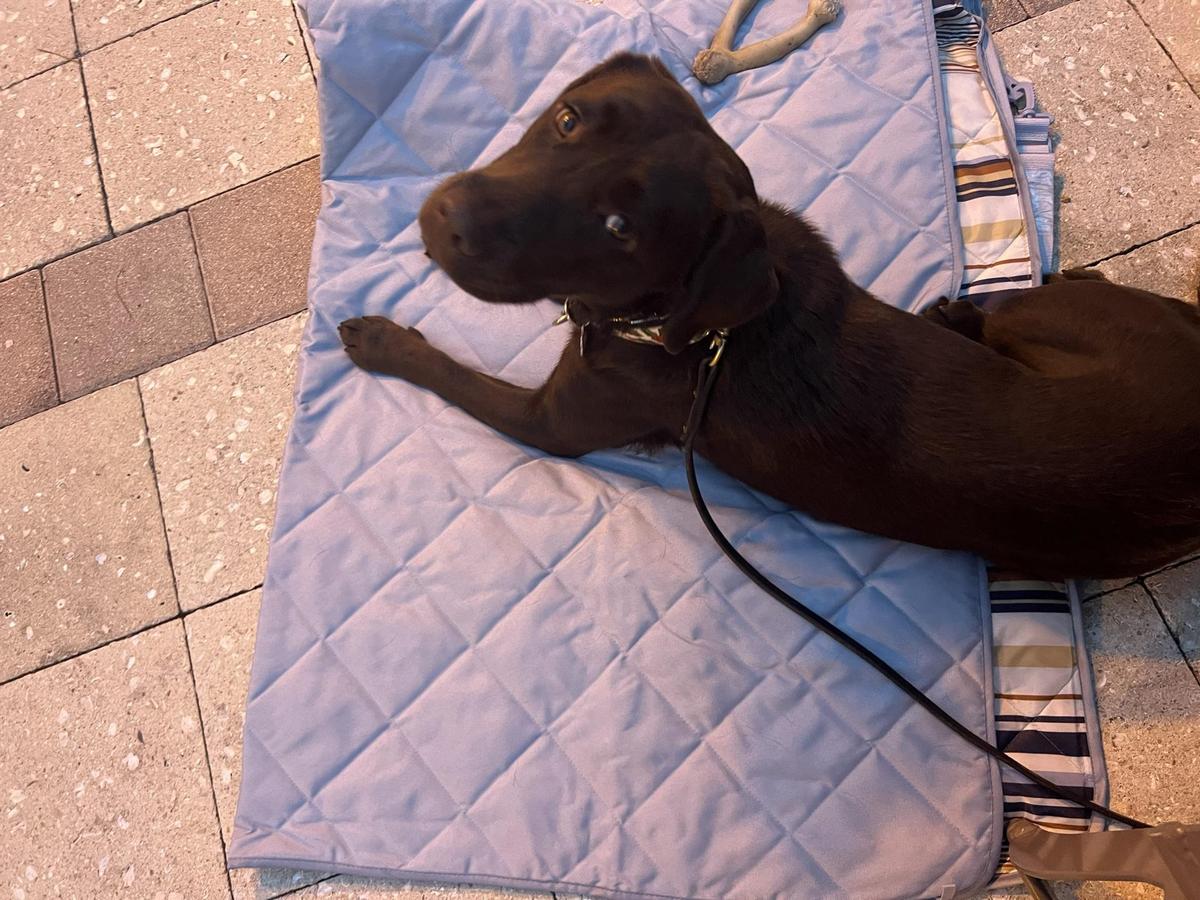 Riviera Dunes Dockside Social Bar & Grill restaurant view 1