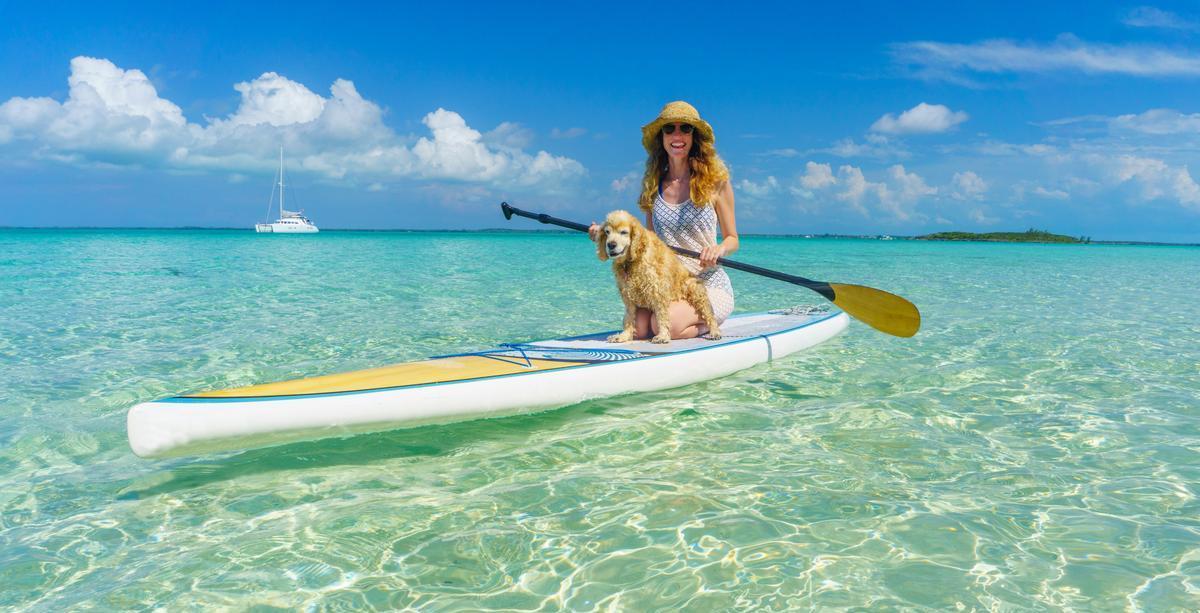 Tropical Vacation Ideas for Fido