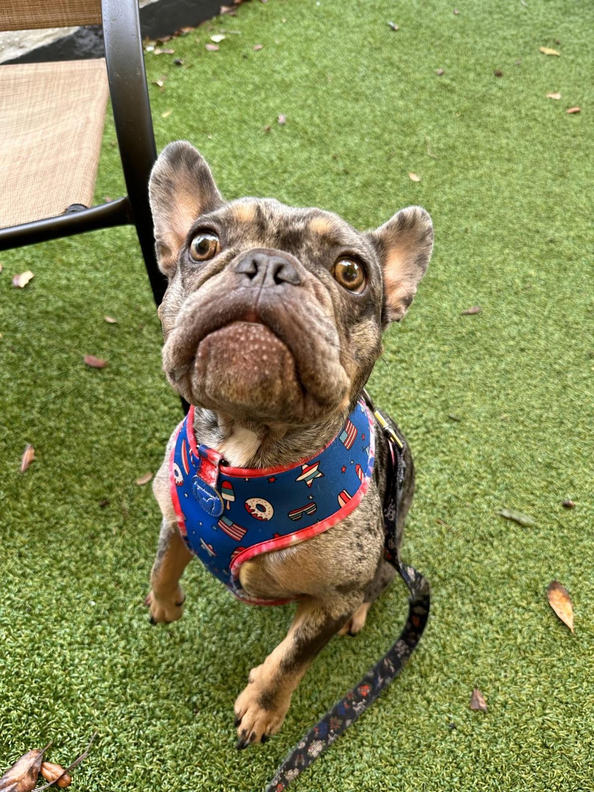 Perk & Brew restaurant view 1