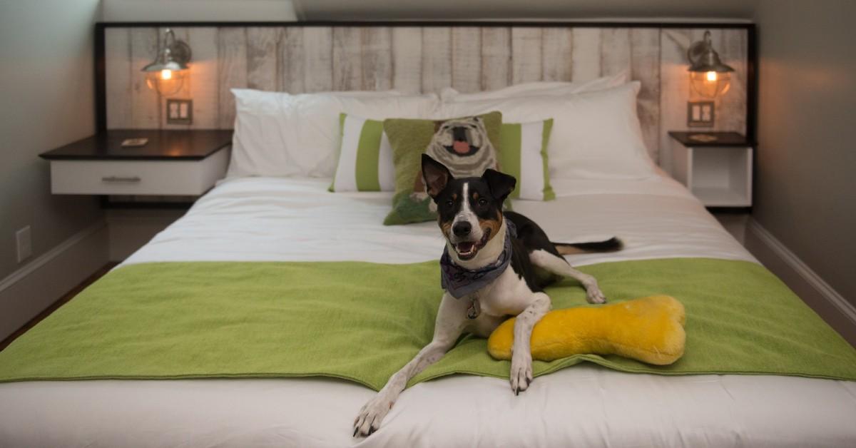 BringFido's 50 Best Hotels - BringFido