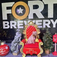 Fort Brewery and Pizza restaurant view 1