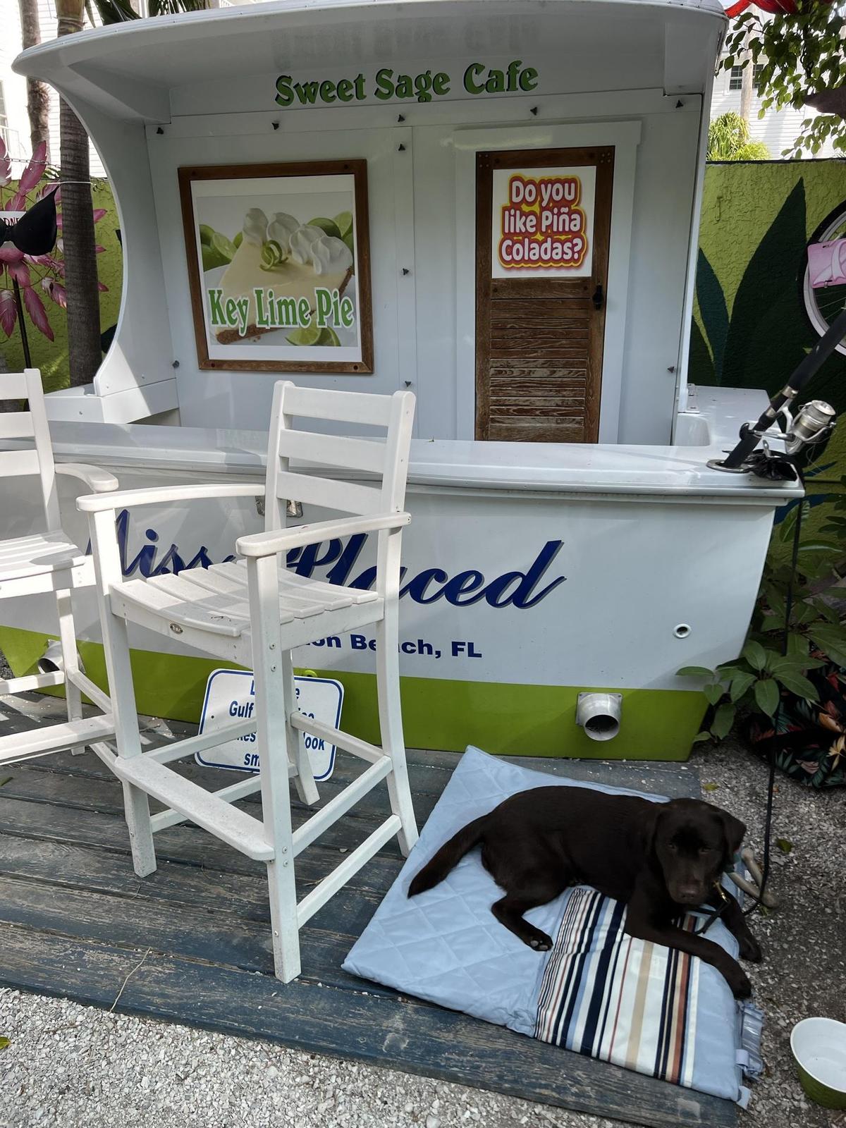 Sweet Sage Cafe restaurant view 2